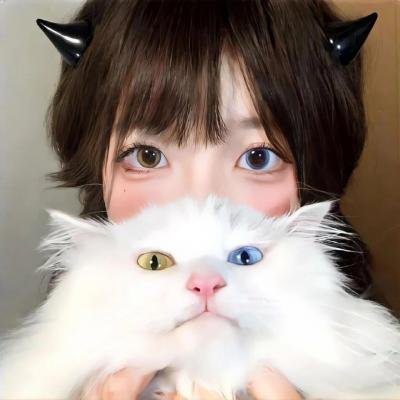 从美国下手2